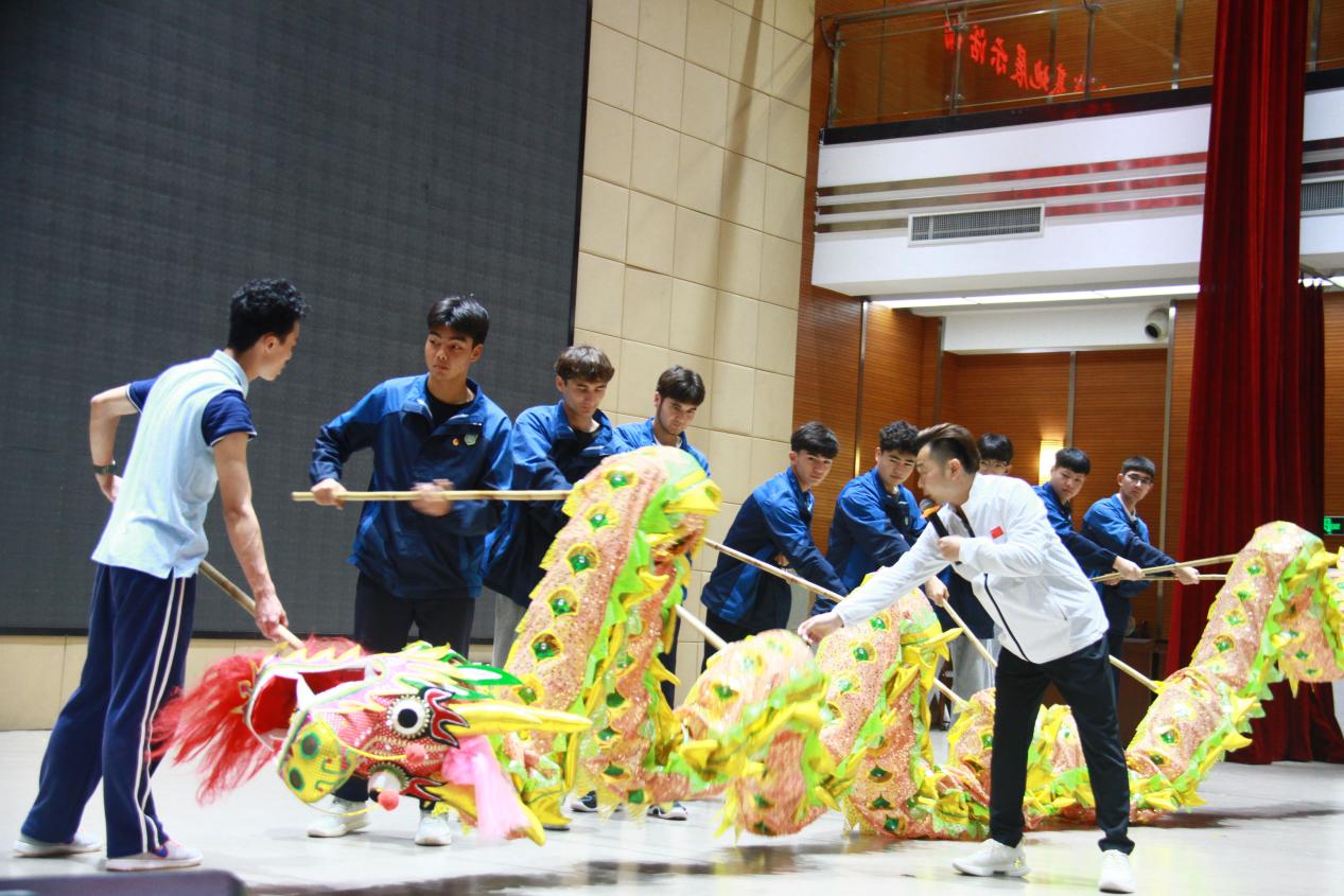 龙狮共舞展华章 文化传承我先行